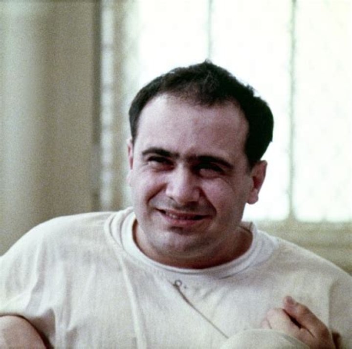 A Fascinating Look into the Life of Young Danny DeVito: A Journey from Humble Beginnings to Stardom