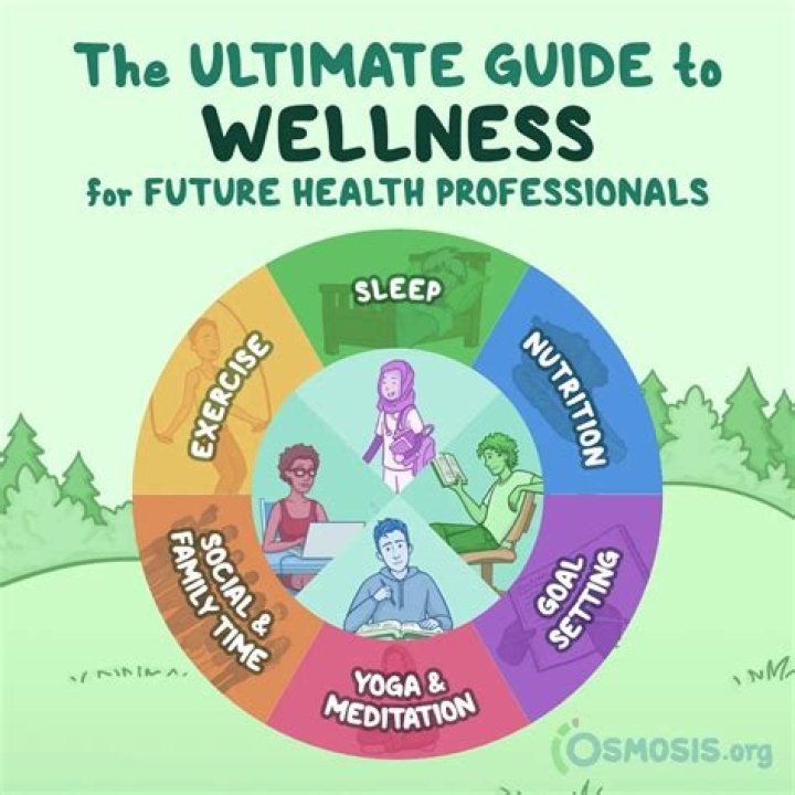 A Guide To Health And Wellness Success