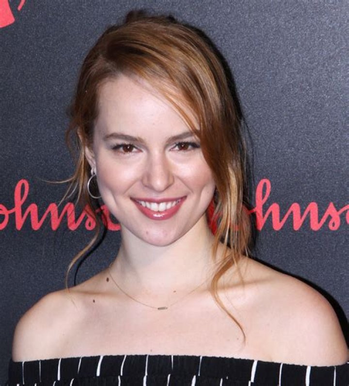 Are Bridgit Mendler And Shane