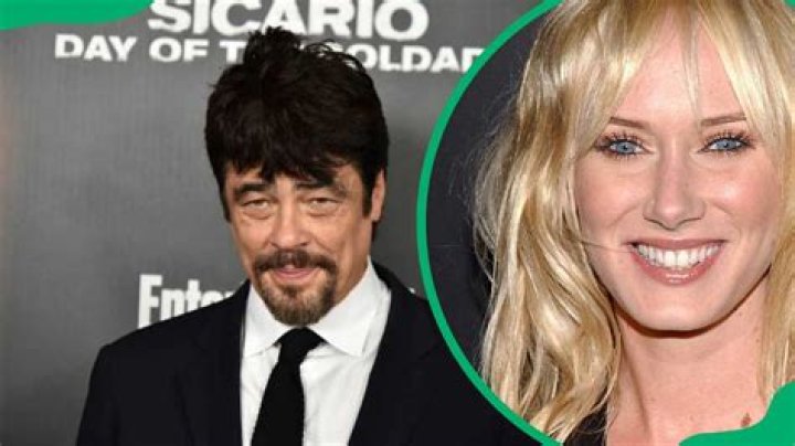 Benicio Del Toro's Wife in 2024: A Closer Look at Their Relationship