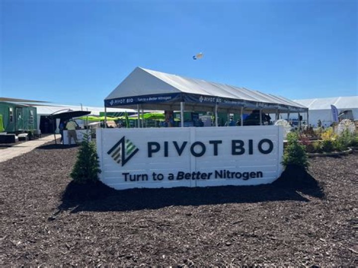 bio - ZingW