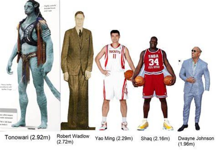 Brucedropemoff Height | How Tall is Brucedropemoff?