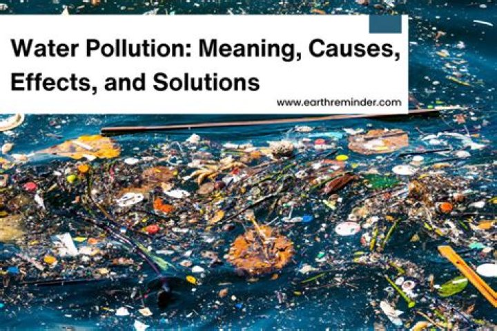 Causes, Effects, and Solutions ·