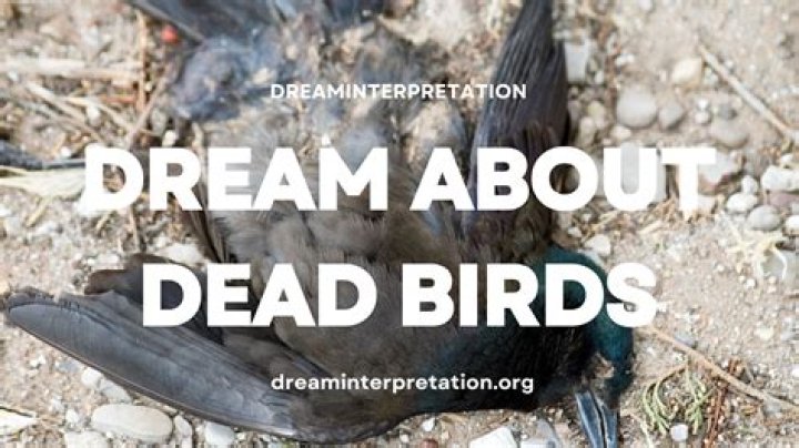 Dead, Body And Bruises Dream Interpretation