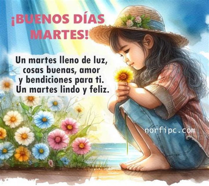 Discover The Magic Of "Buenos Dias Feliz Y Bendecido Martes"