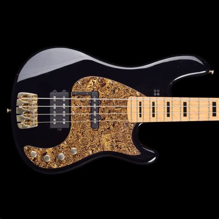 Discoveries And Insights About Mneskin's Bass Player
