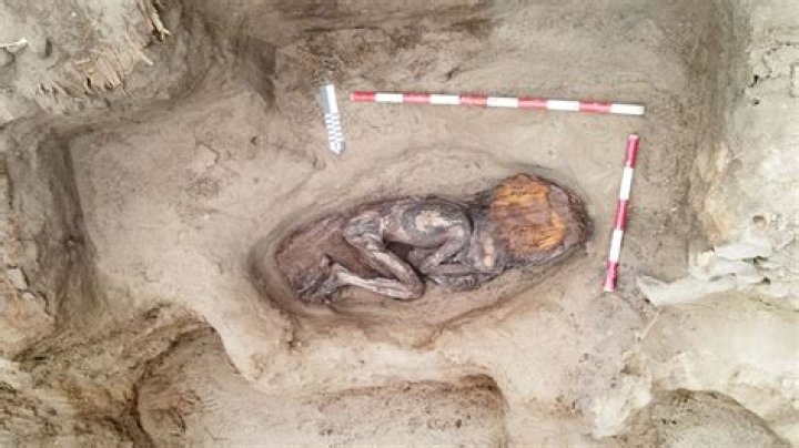 Discoveries And Insights Into The Life Of Hillaree Burns