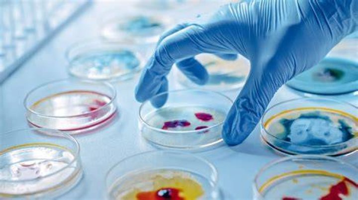 Discoveries And Insights That Reshaped Microbiology