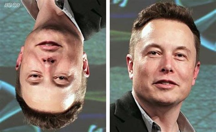 Elon Musk Smile Upside Down
