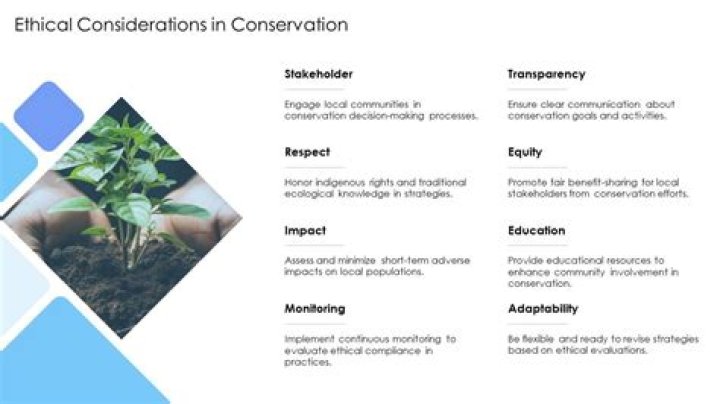 Eva De Vil Cuck In A Cage: Ethical And Conservation Considerations