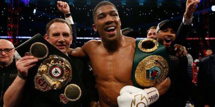 Explore the Life of the Heavyweight Contender