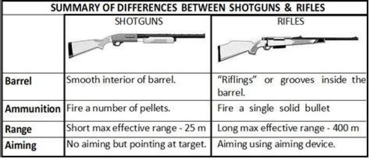 Exploring the Differences Between Handgun and Rifle Ammunition