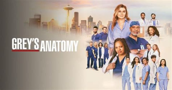 Exploring the Seasons of Grey's Anatomy: A Comprehensive Guide