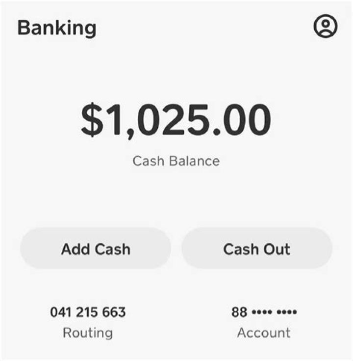 Fake Bank Account Balance Screenshot