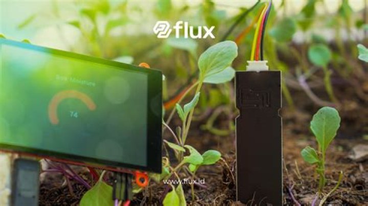 FluxBlog | cat1