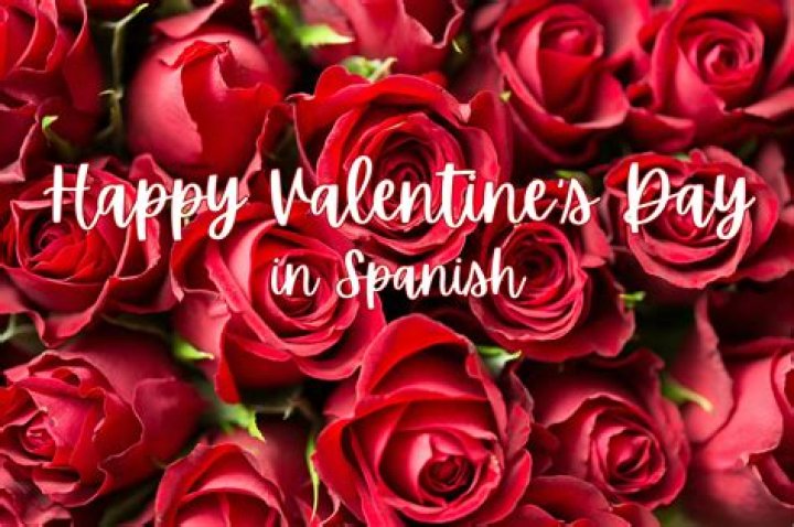 How UPS Moves Valentine's Day Roses From Colombia to US ·