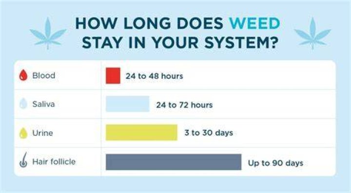 I smoked weed daily for 12 years. I quit cold turkey when I realized it was standing between me and