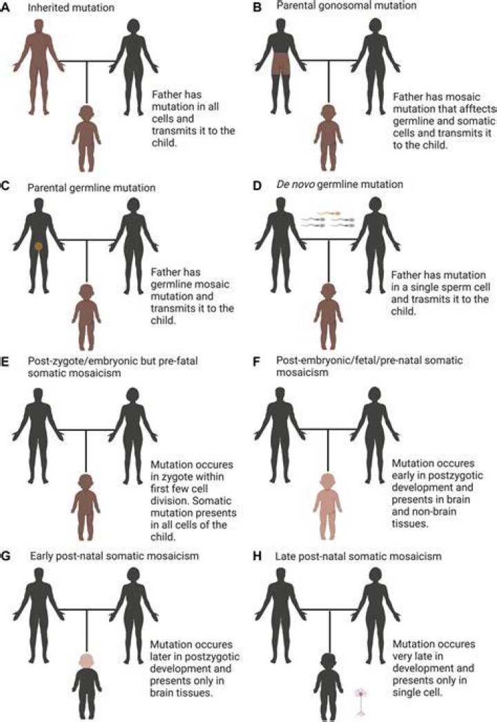 Inherited Disorder Or An Eye Mutation ·