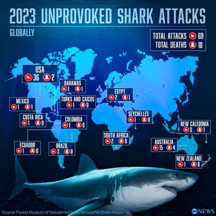 Jimi Partington's Shark Attack And Its Lessons