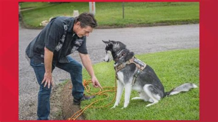 K9 Lady: The Inspiring Journey of a Dog Trainer and Advocate