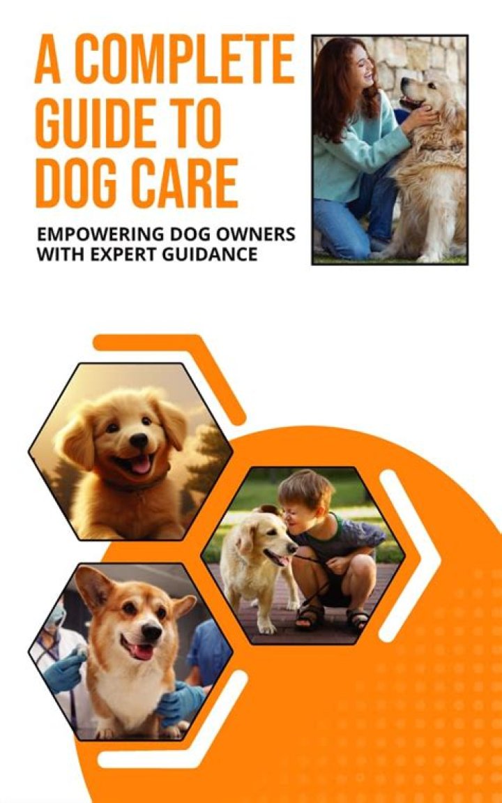 K9Lady: Empowering Dog Owners Through Expertise and Community