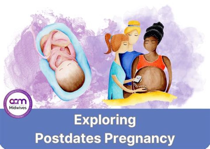 Katie Lee's Pregnancy Journey Explored