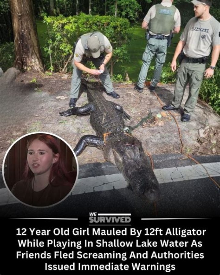 Kid Pushed In Water With Alligator