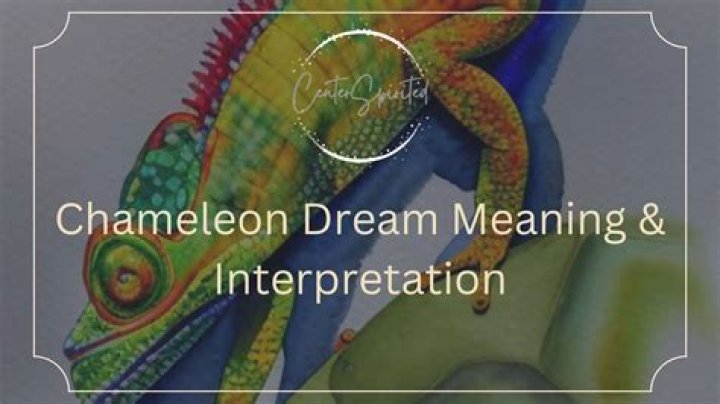Kill And Chameleon Dream Interpretation |