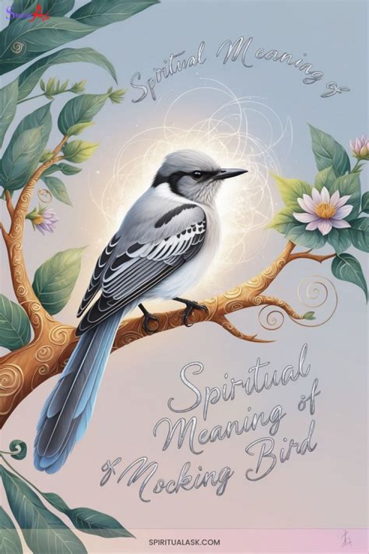 Mocking Bird Spiritual Meaning And Interpretation