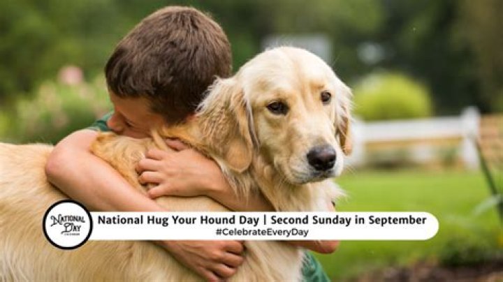 National Hug Your Crush Day Revealed