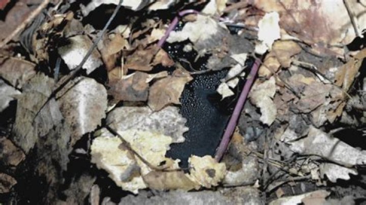 New Allegations of Leaked Crime Scene Photos in the Delphi Murders Case
