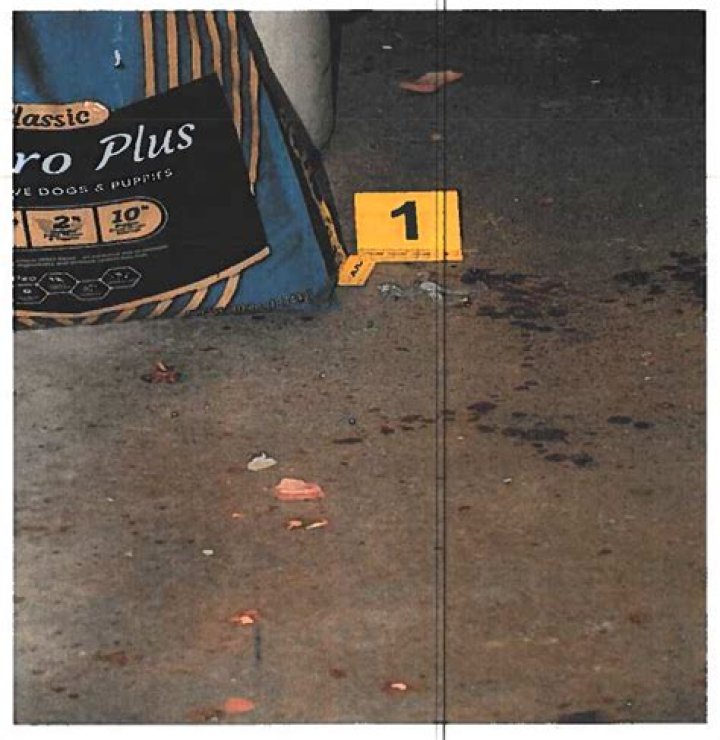 Paul Murdaugh Autopsy Photos Graphic: How Did the Images Leaked?