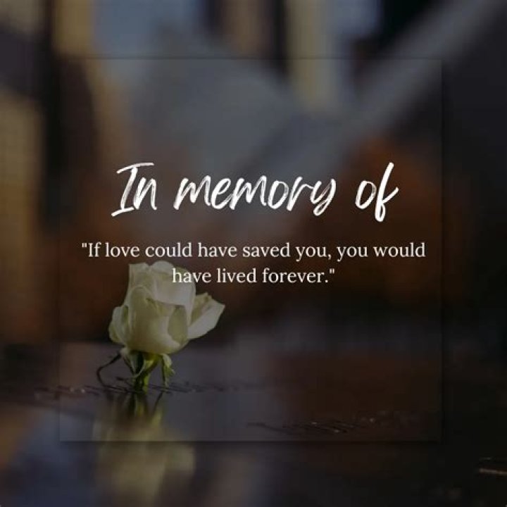 Remembering Amanda Windsor: A Cherished Life Remembered