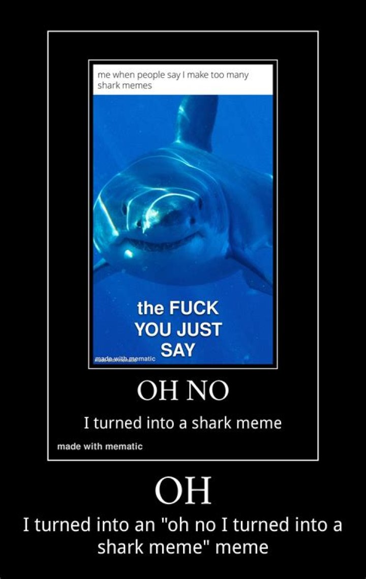 Shark.bae Leaked: Understanding the Impact and Reactions