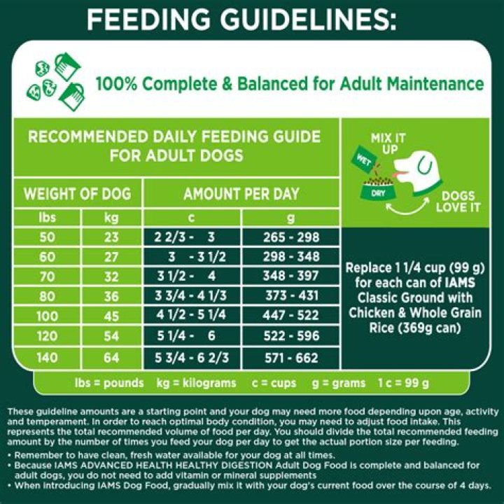 The Comprehensive Guide to Iams Dog Food: Everything You Need to Know