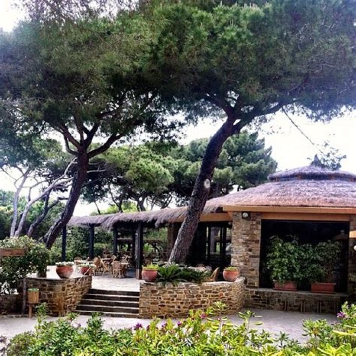 The Enigmatic Fortune Of Carlo Ponti: Unraveling His Net Worth