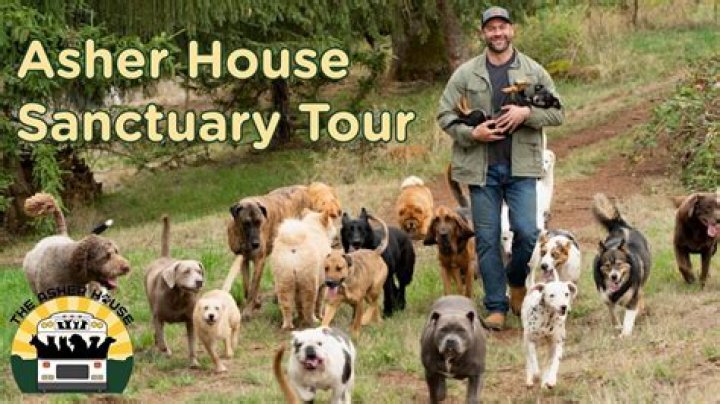 The Inspiring Journey of Asher House: A Sanctuary for Rescued Animals