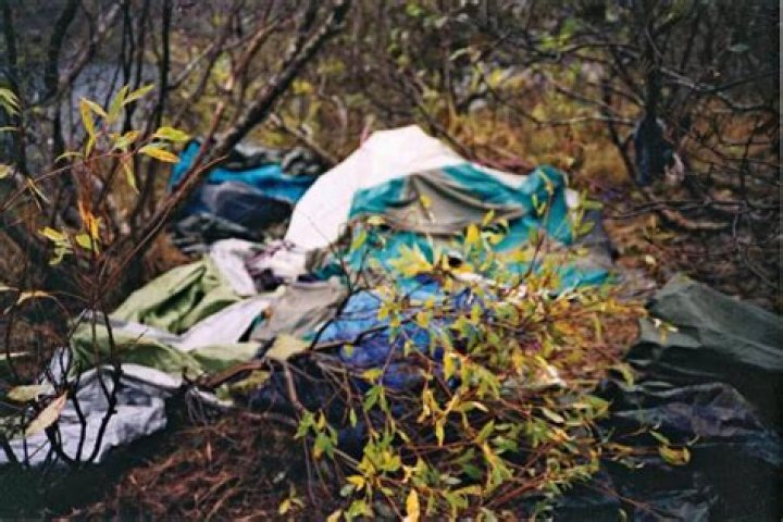 Timothy Treadwell Autopsy Photos