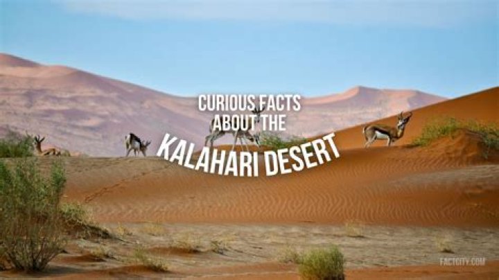 Uncover The Enigma Of The Kalahari: Facts And Location Revealed