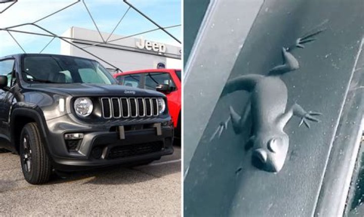 Uncover The Hidden Animal Gems In Your Jeep Grand Cherokee