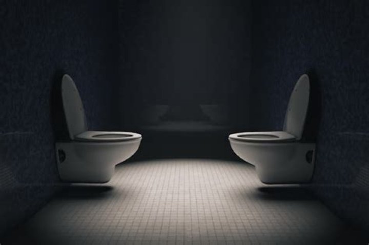 Uncover The Secrets Of "Two Toilets Facing Each Other": A Restroom Design Revolution