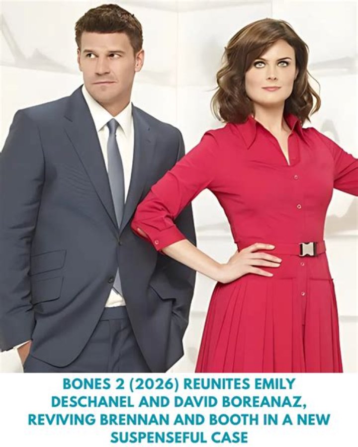 Uncover The Untold Secrets Behind David Boreanaz: Age, Wife, And More