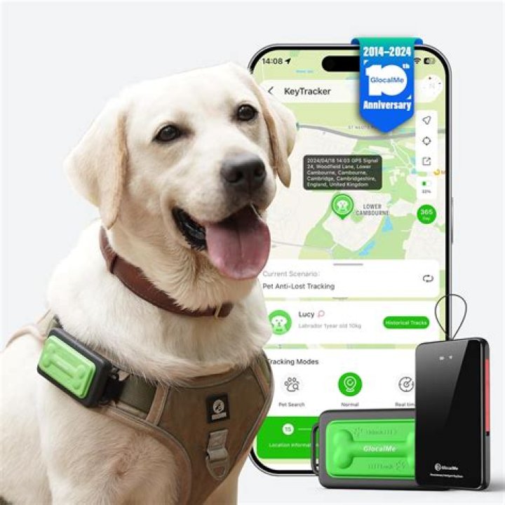 Understanding Dog GPS Trackers: A Comprehensive Guide