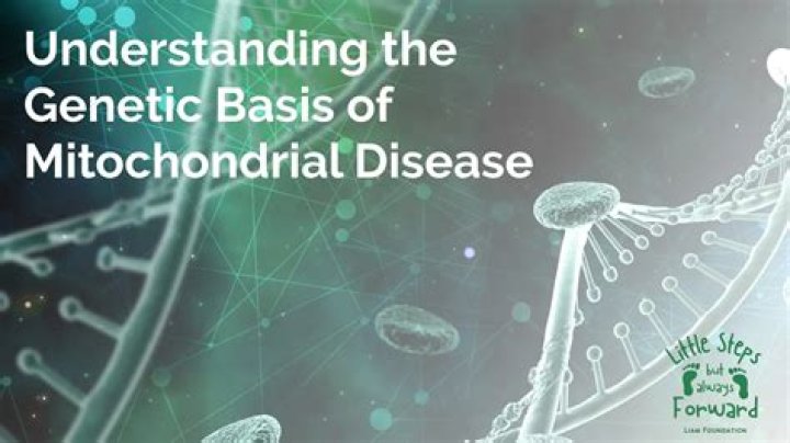 Unlocking The Genetic Basis Of Behavior