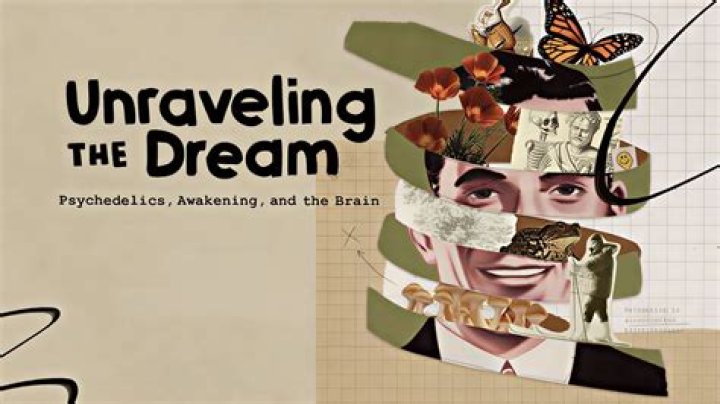Unraveling The Lyrical Genius And Trailblazing Activism
