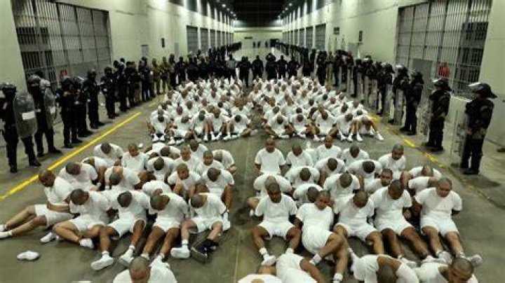 Unraveling The Prison Gang Phenomenon