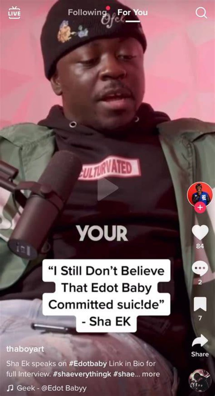 Unraveling The Reasons Behind Edot Baby's Suicide
