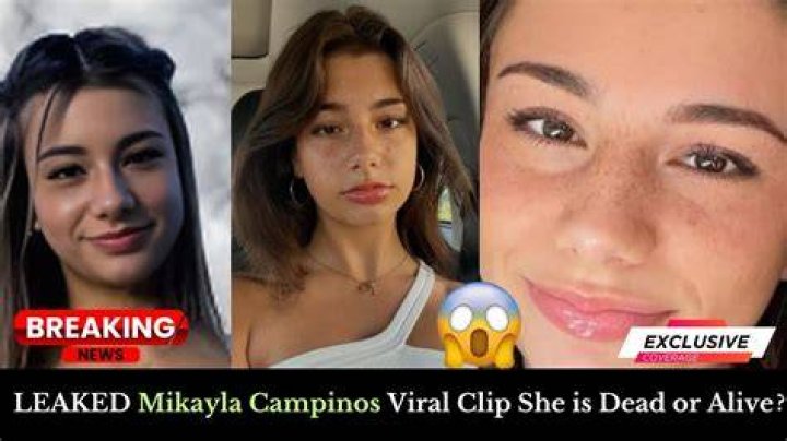 Unveiling Mikayla Campinos' Viral Twitter Recipe
