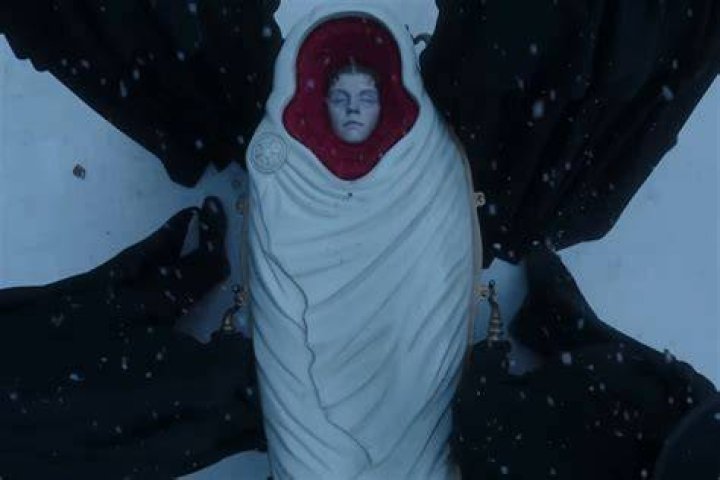 Unveiling The Enigmatic World Of The Del Toro Brothers: Discoveries And Insights