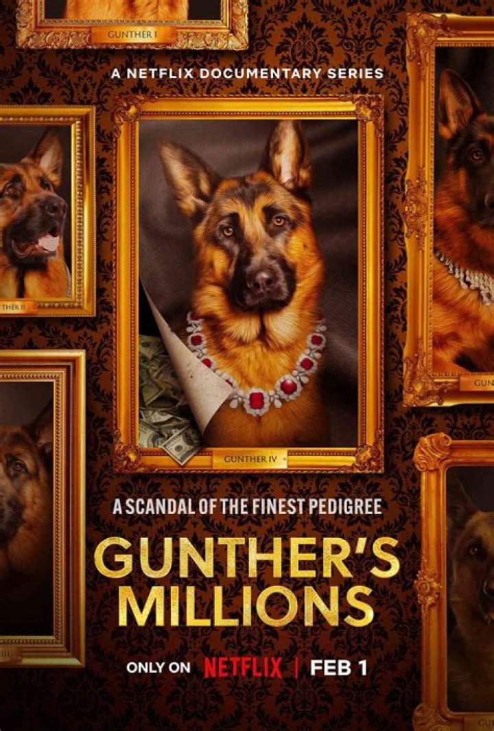 Unveiling The Secrets Of Gunther The German Shepherd: Discoveries And Insights